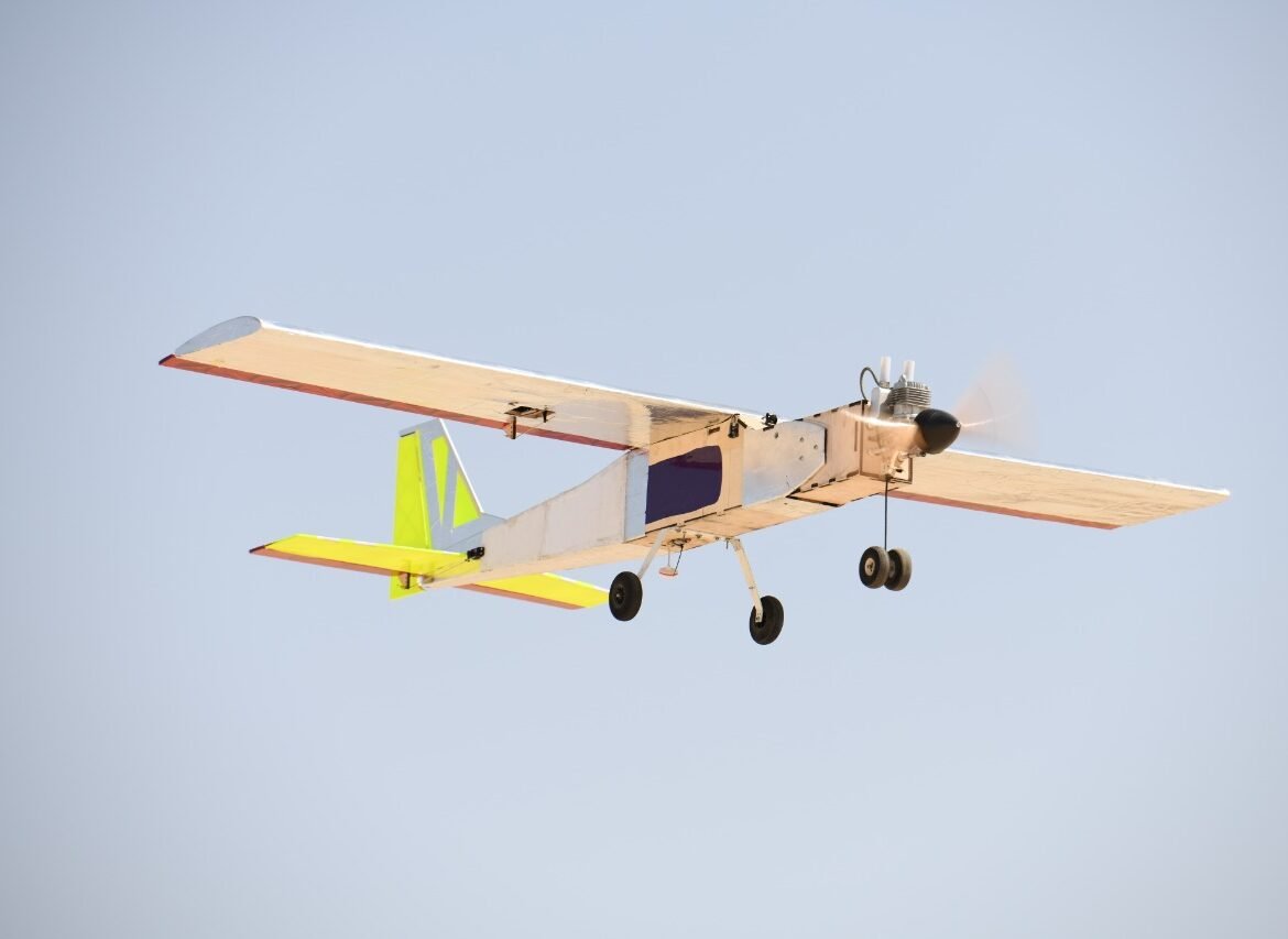 Entertainment & Shows